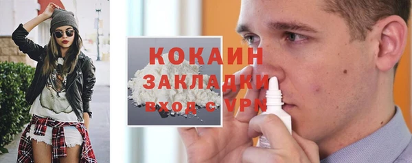 соль ск Алексин