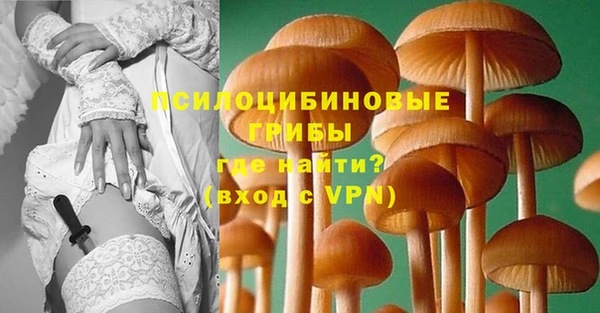соль ск Алексин
