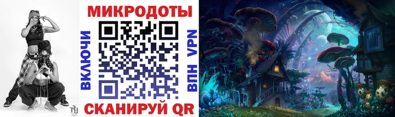 Галлюциногенные грибы Psilocybine cubensis  Качканар 