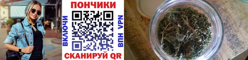 где купить Качканар Канабис THC 21%